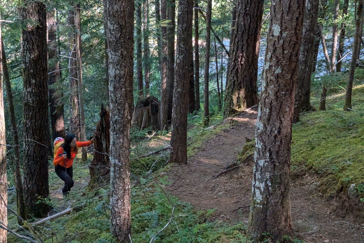 From the lower parking lot, trudging through the forest