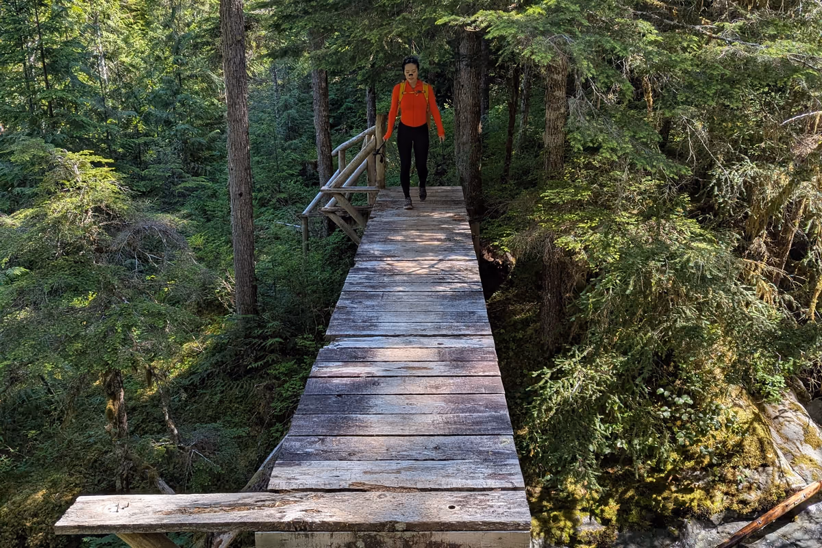 Sturdy and trusty bridge