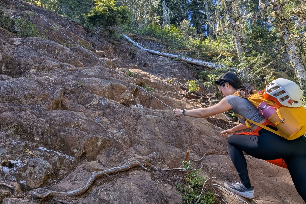 An example of the scrambling encountered while in the forest