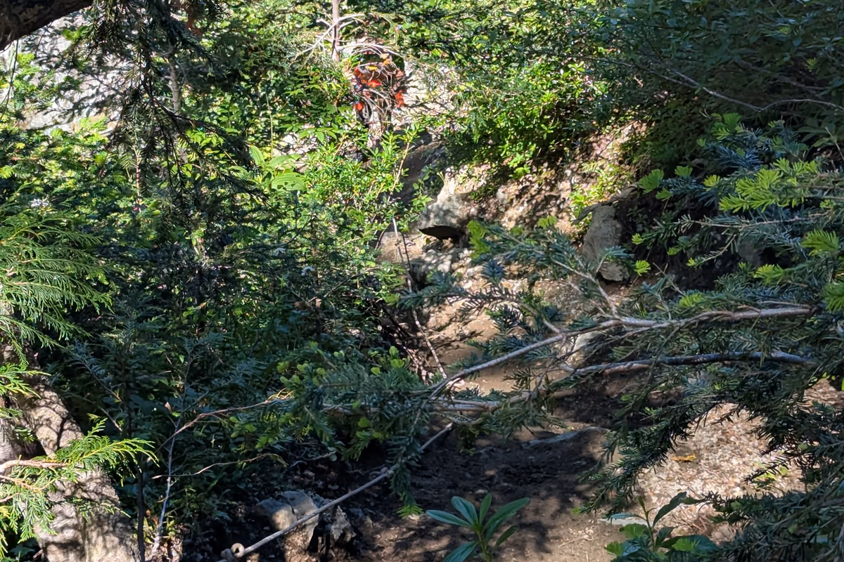 Gnarly stuff