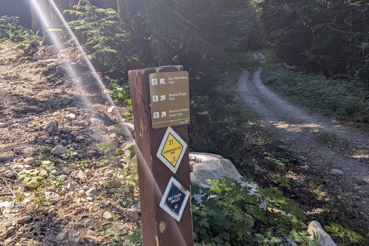 Well marked signs