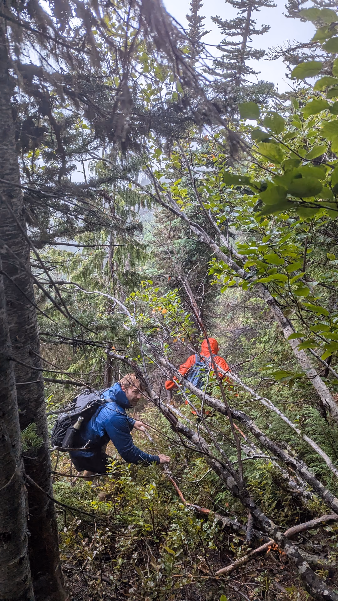 I think the trail goes this way guys!