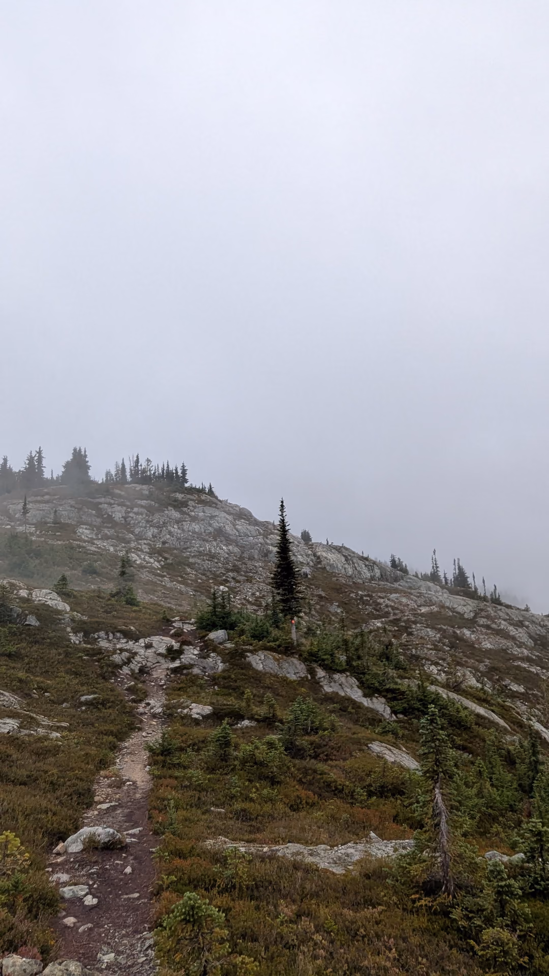 The fog, occassionally lifting, provided us with magnificent views