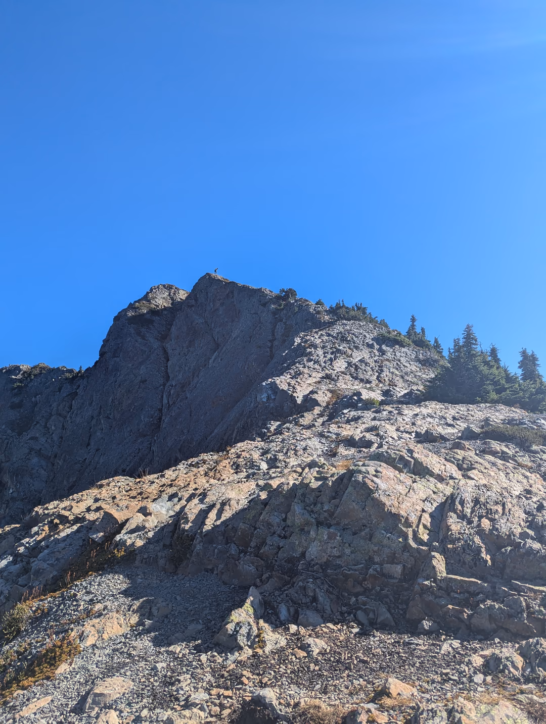 This is also not the summit