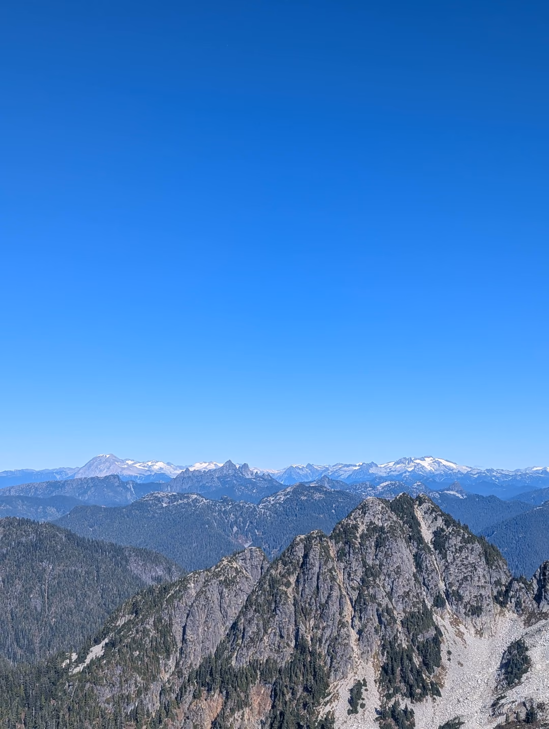 Looking northward