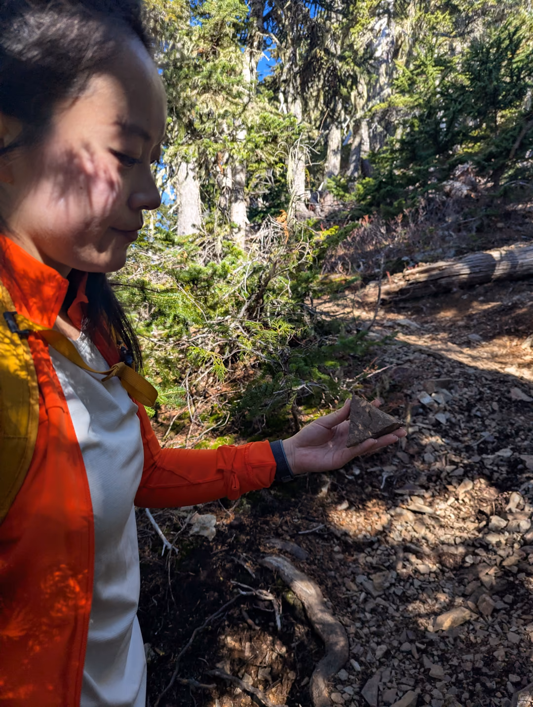 Sohee finds a very triangular rock and ponders what it could mean