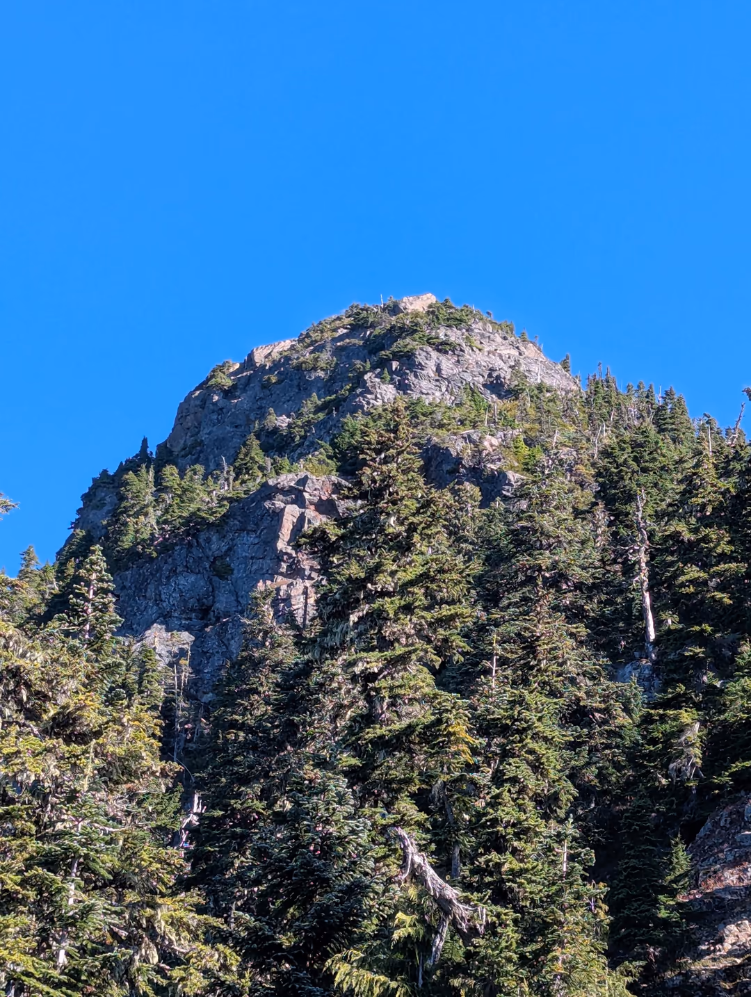 What we thought was the summit