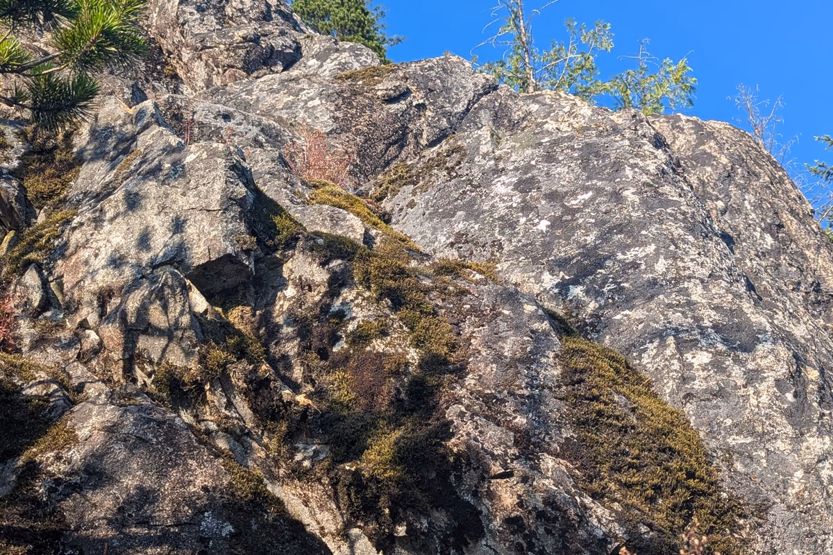 Very cool, right side is less mossy