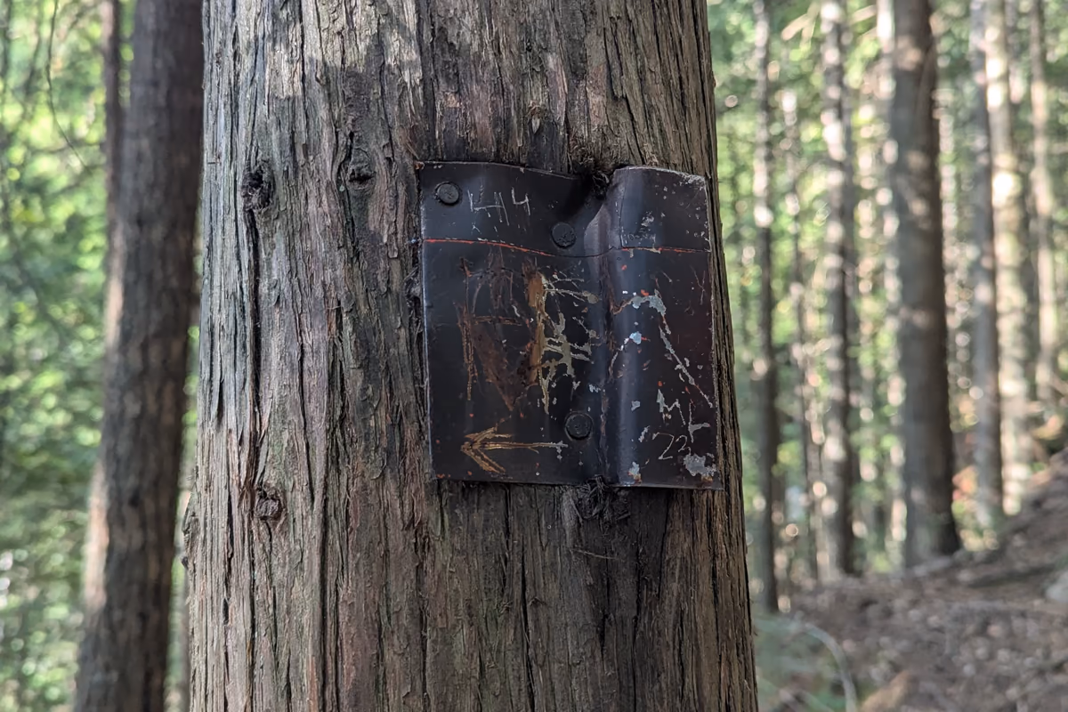Mysterious signage
