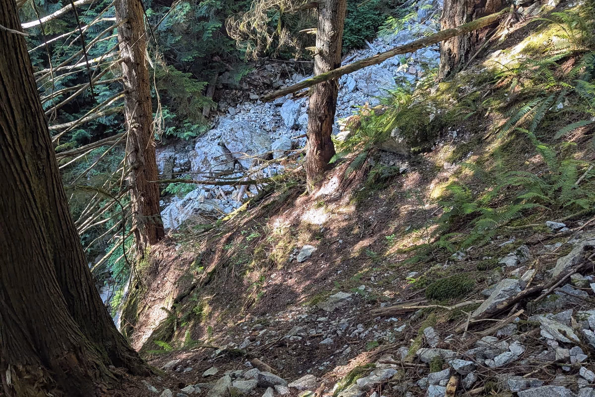 Dude, where is the trail?