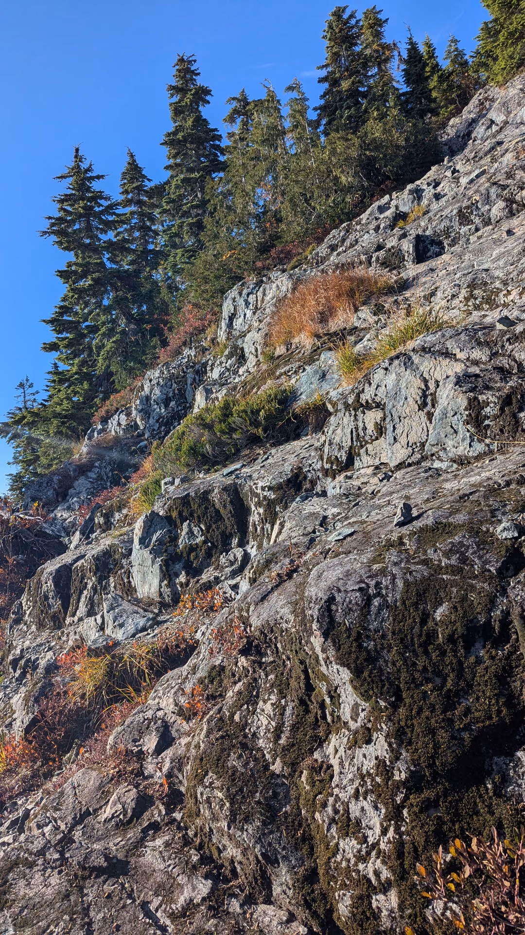 Some scrambling, photo angled for maximum intensity