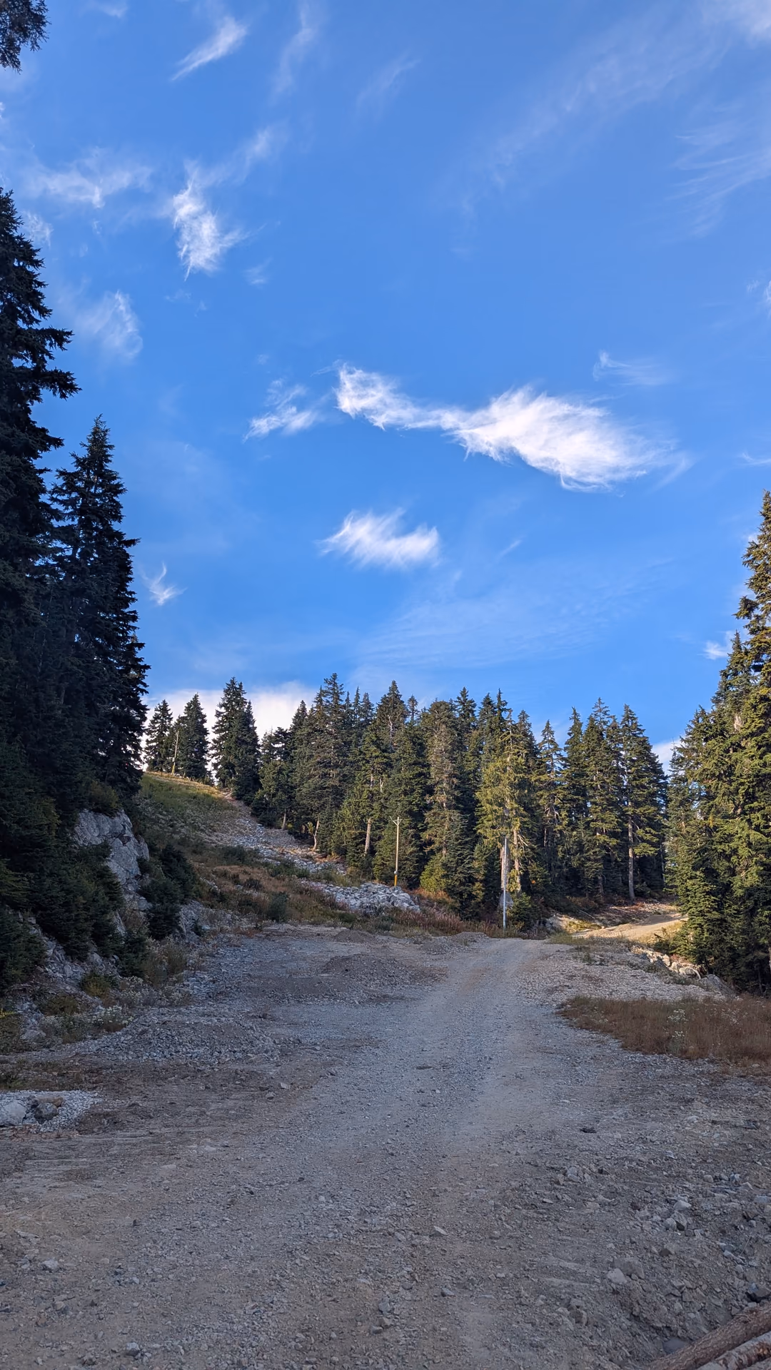 Trail conditions: minty fresh