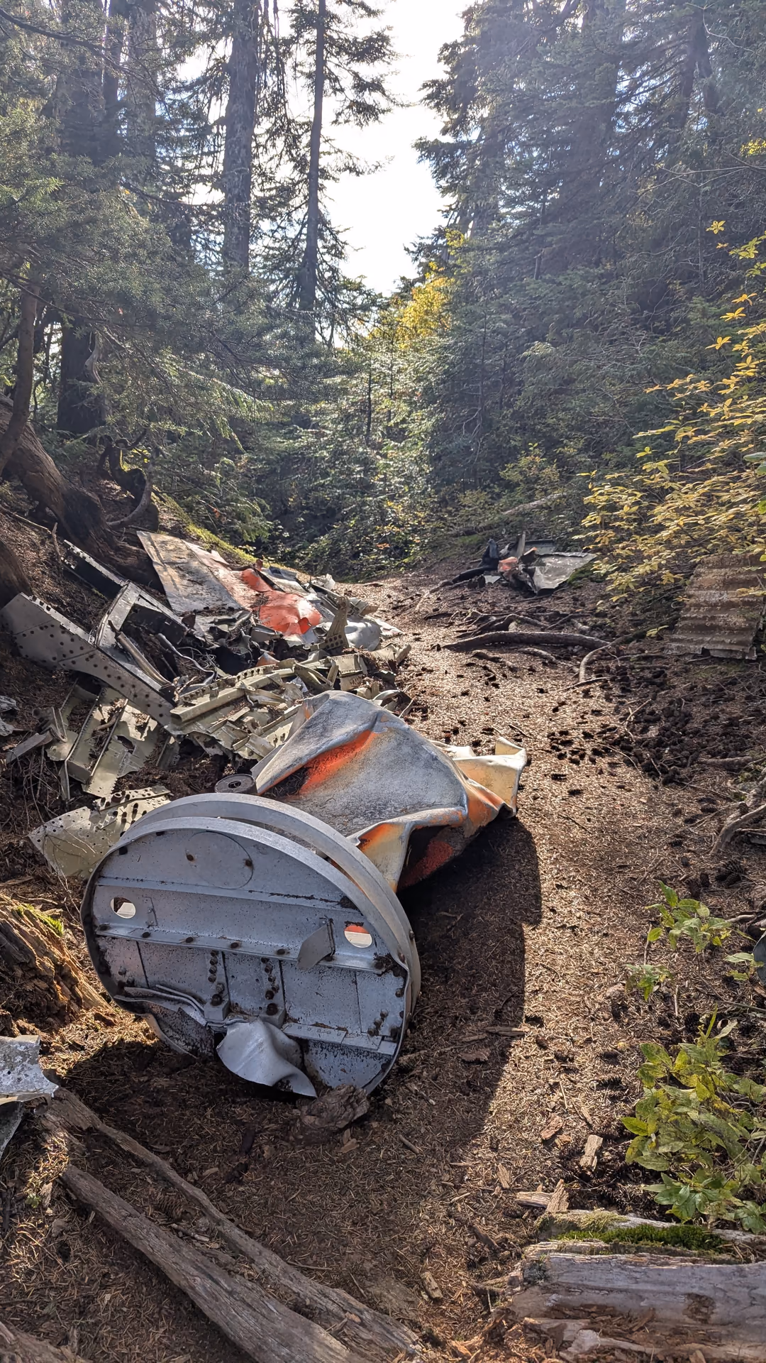 Wreckage strewn about the undergrowth, no bodies found