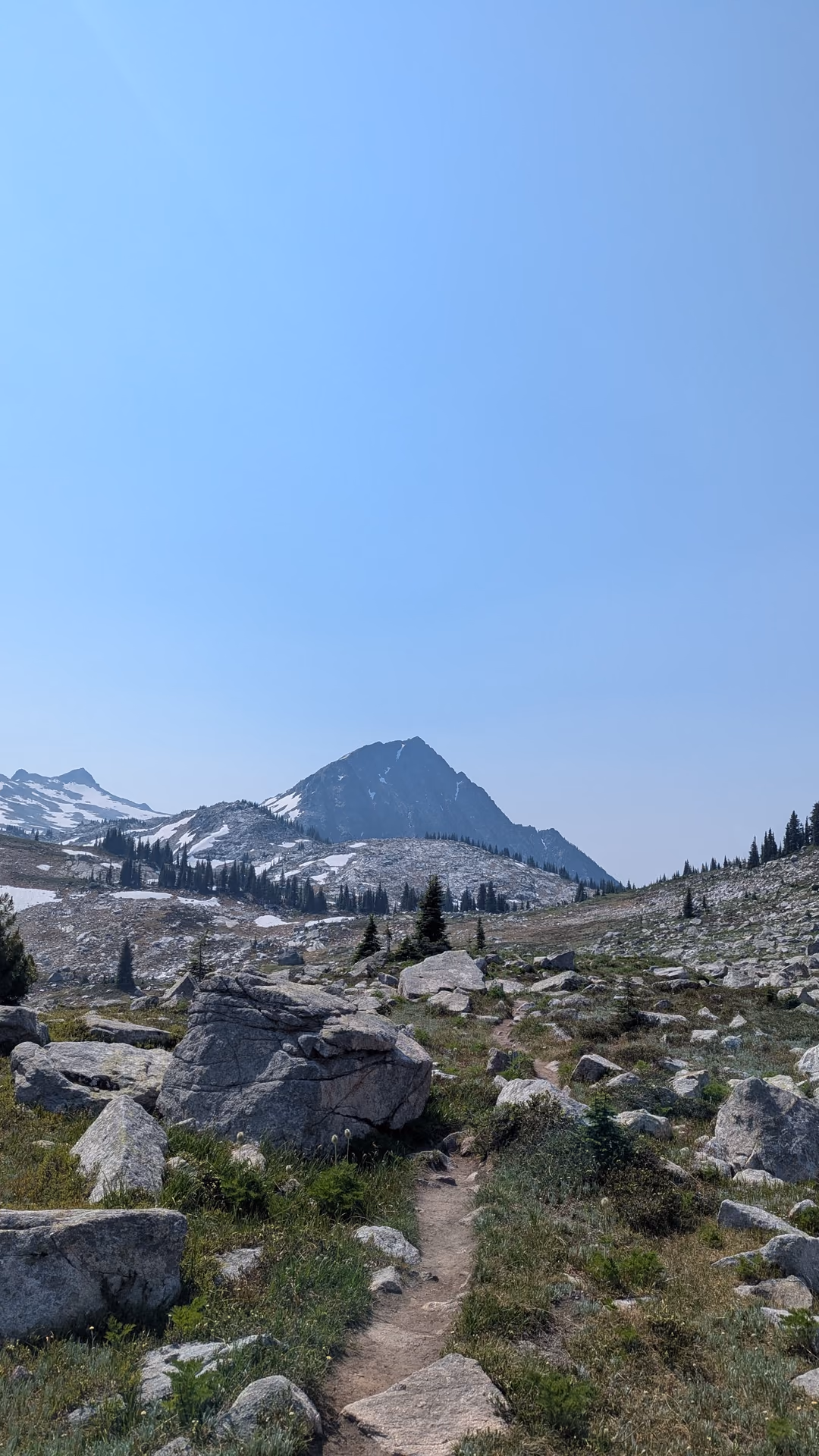 Marmot and Pika habitat