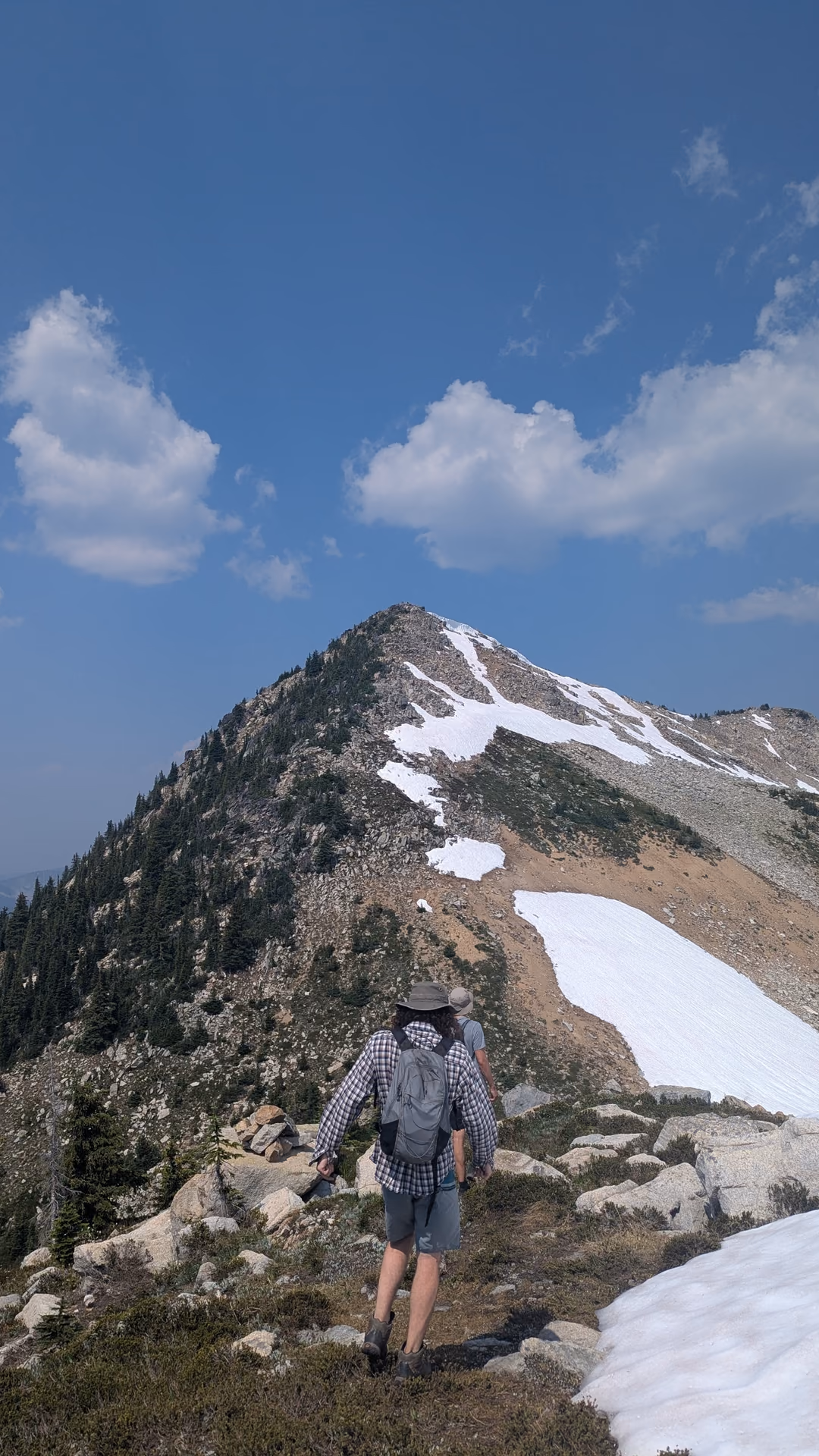 Elevation gain/pain